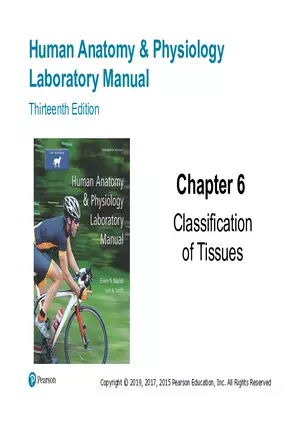 Exercise #6 Classification of Tissues - Epithelial Tissue