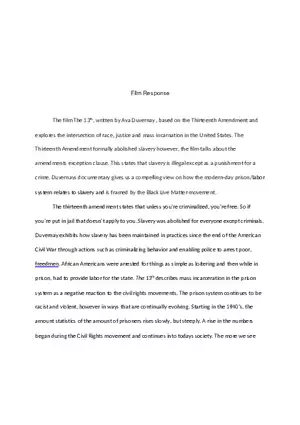 The 13th Film Response Essay