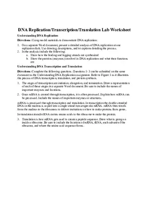 DNA Replication Transcription Translation Lab Worksheet