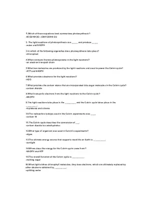 Summarizes Photosynthesis Answer Key