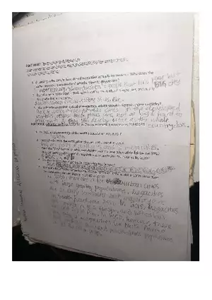 Megacities Human Geography