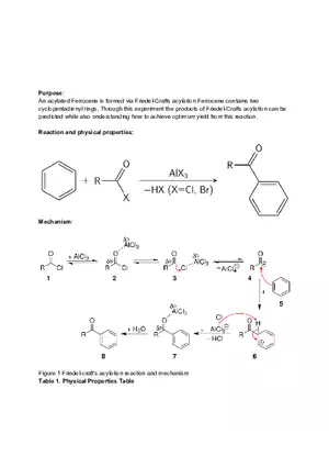 Experimental Organic Chemistry Experiment 5 - Lab Report