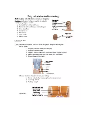 Lab 1 Quiz - Anatomy Physiology Review