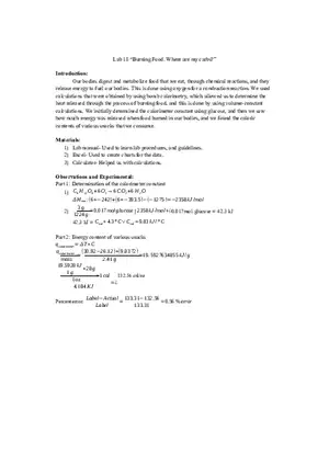 Lab 18 - Burning Food