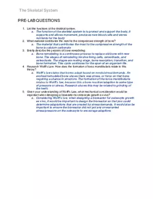 Lab 6 The Skeletal System