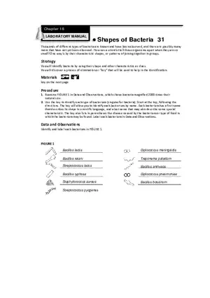 Seatwork on Shapes of Bacteria