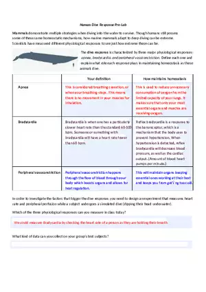 Homeostasis Human Dive Response Pre-Lab