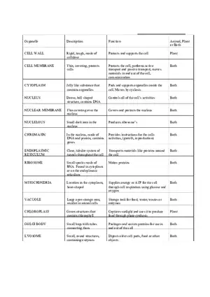 Cell Organelles Review