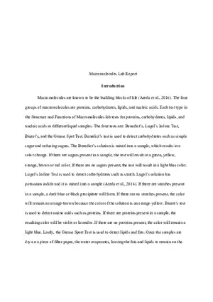 Macromolecules Lab Report