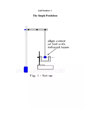 The Simple Pendulum - Lab Report
