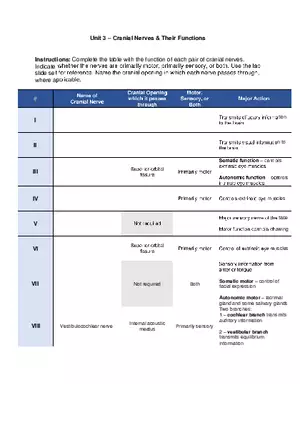 Unit 3 Cranial Nerves Worksheet