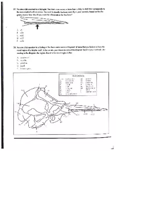 Graphic Literacy Practice Test 2 Part 4