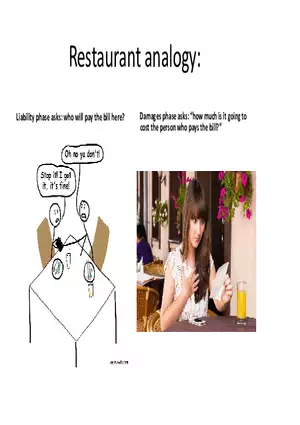 What is a Tort (Lecture) Part 4