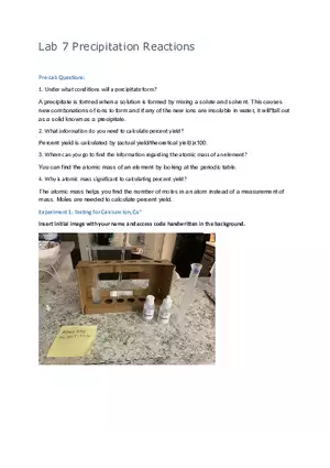 Lab 7 Precipitation Reactions