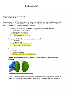The Evolution Lab 101