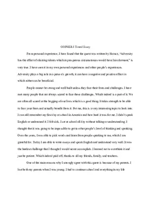 Gophers Timed Essay