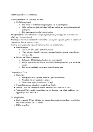 The Molecular Basis of Inheritance Study Guide