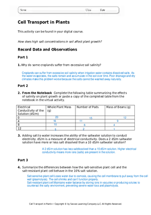 Cell Transport in Plants