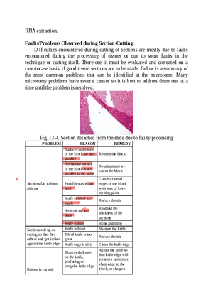 Histopathologic Techniques - RNA Extraction