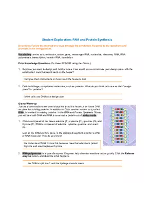RNA and Protein Synthesis