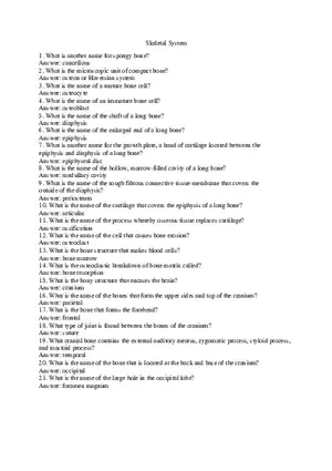 Skeletal System Study Guide