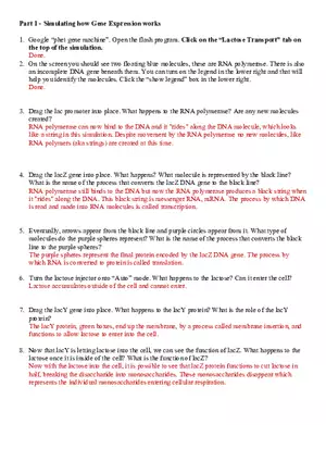 Simulating How Gene Expression Works