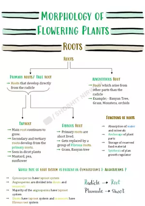 Morphology of Flowering Plants