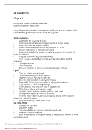AP Bio Notes Chapter 5