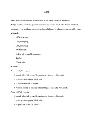 Osmosis - Movement of Water Across a Selectively Permeable Membrane