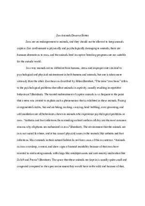 Why Animals Should not be Kept In Zoos Essay