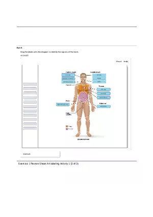 Unit 1 Ex 1 Review Sheet (Anat Term)