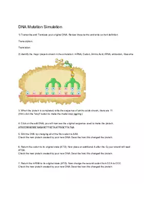 DNA Simulation Worksheet