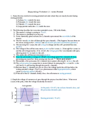 Worksheet Action Potential