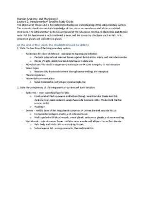 Integumentary System Study Guide for Exam