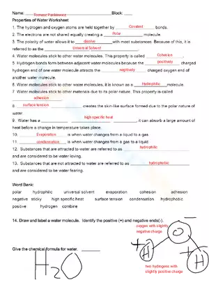 Properties of Water Worksheet
