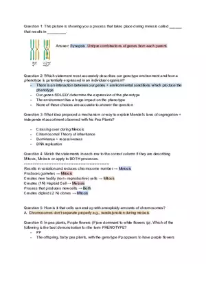 Genetics Unit Test Review Synapsis