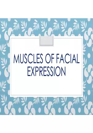 Muscles of Facial Expression