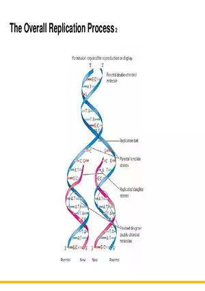 An Introduction to Microbial Genetics Lecture Part 3