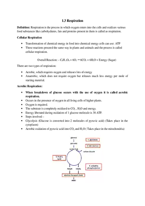 Respiration and Cellular Respiration