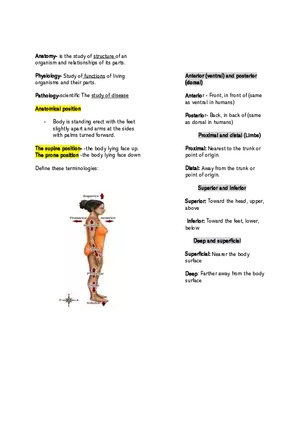 Basic Anatomical Terminologies and Positions