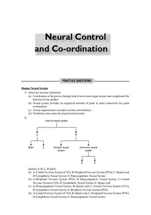 Neural Control and Co-ordination