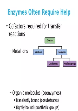 Principles of Biochemistry - Enzymes Lecture 2