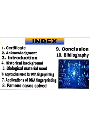 DNA Fingerprinting Study Guide