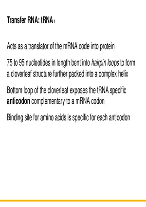 An Introduction to Microbial Genetics Lecture Part 5