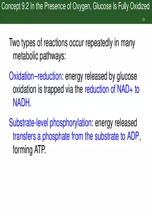 Pathways That Harvest Chemical Energy Lecture Part 3