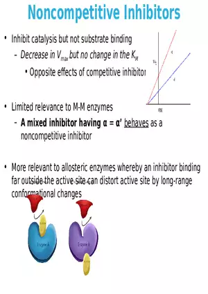 Principles of Biochemistry - Enzymes Lecture 7
