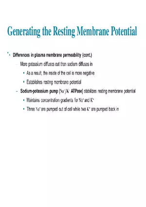 Fundamentals of the Nervous System and Nervous Tissue Lectrure 6