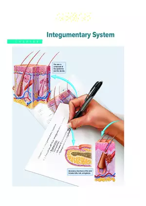 Integumentary System