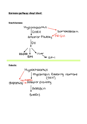 Hormone Pathway Cheat Sheet