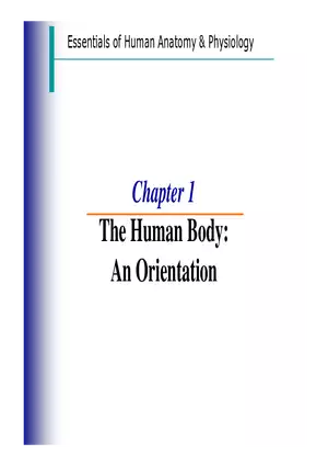 The Human Body - An Orientation